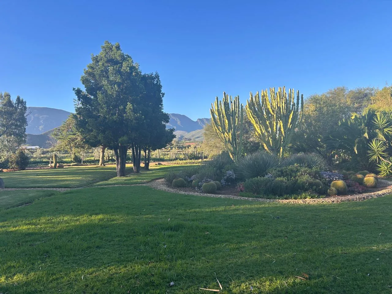 Golden afternoon light over the Robertson valley, with manicured gardens framed by the surrounding mountains