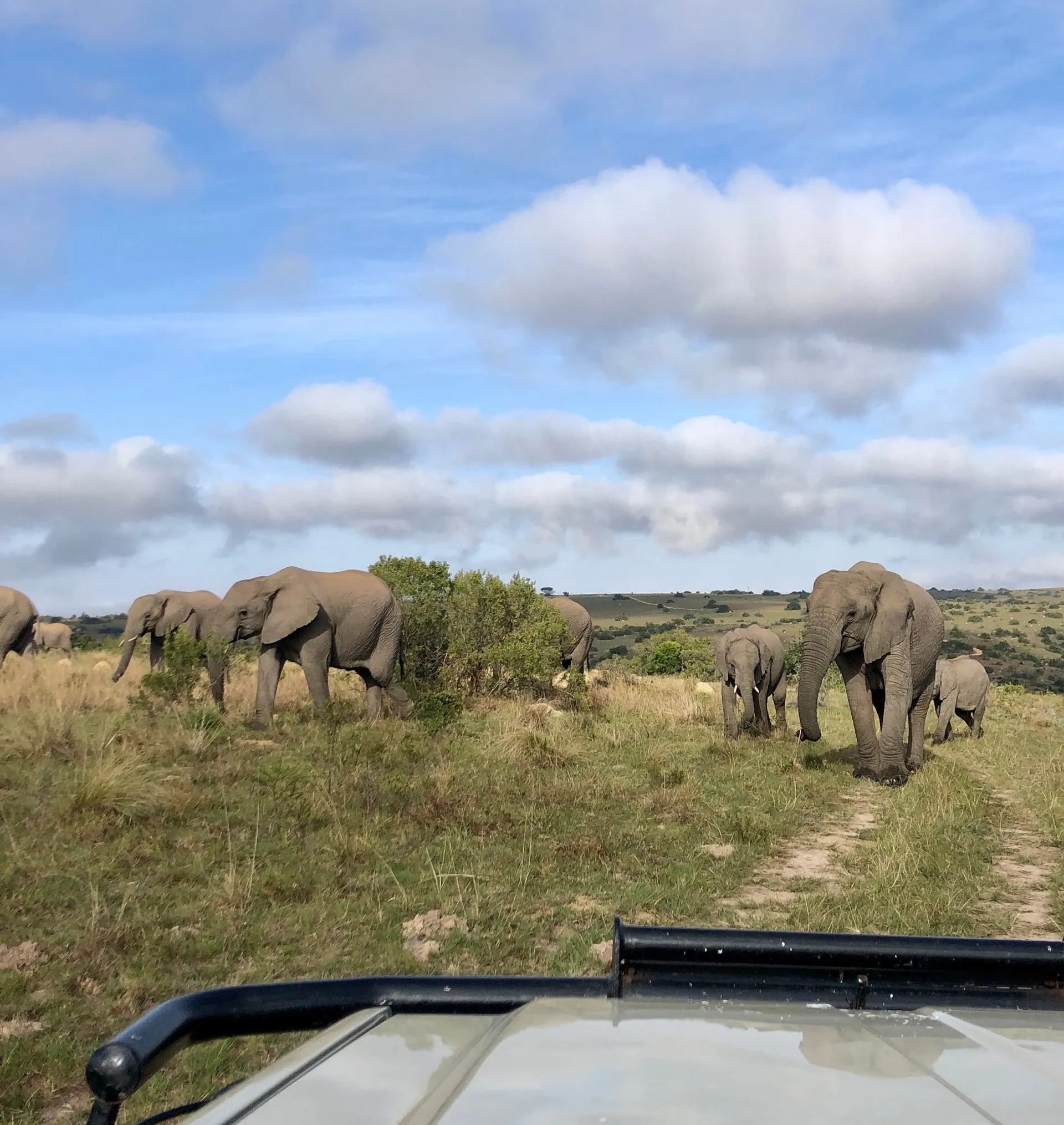 Big Five Safaris