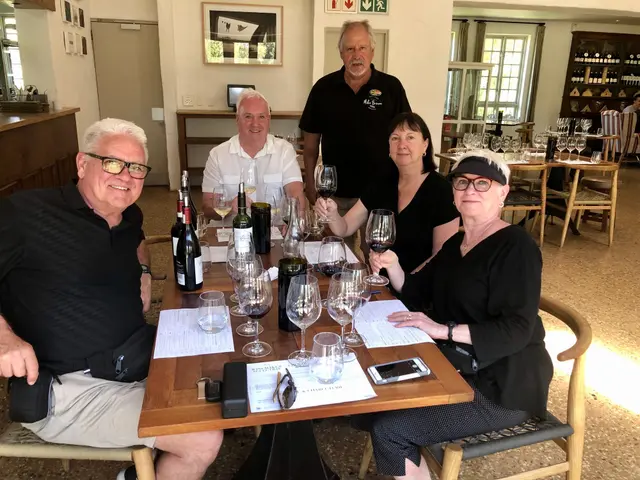 A Guide to Cape Town Wine Tours: Regions, Grapes, and What to Expect